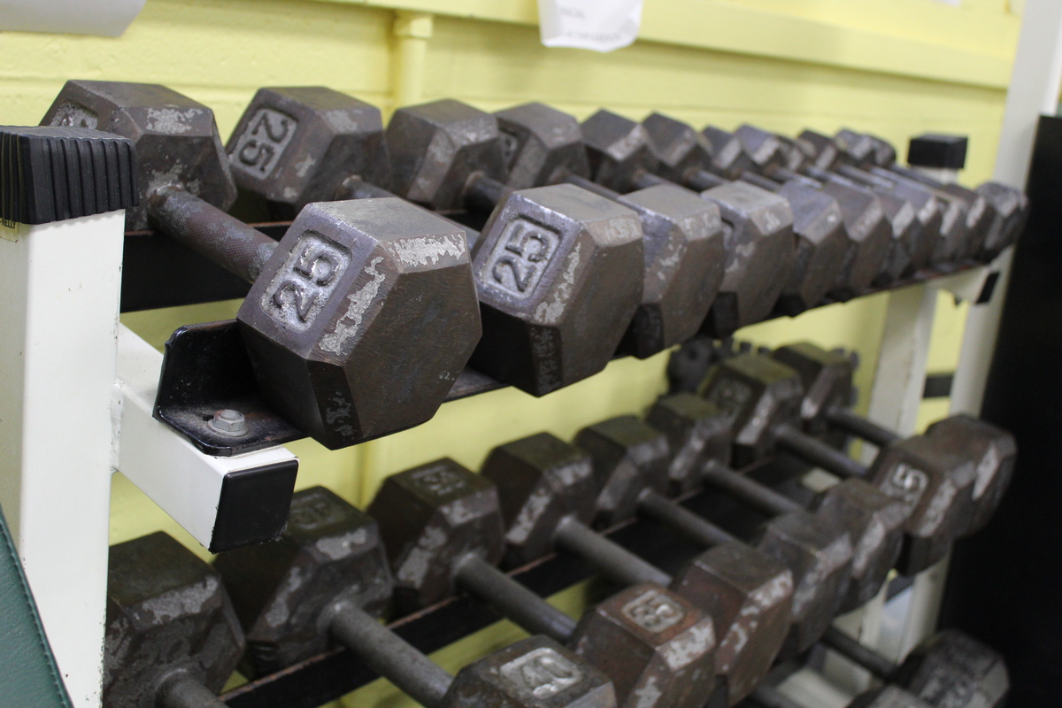 Rack of metal dumbbells in a gym.